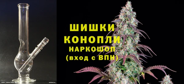 spice Инта