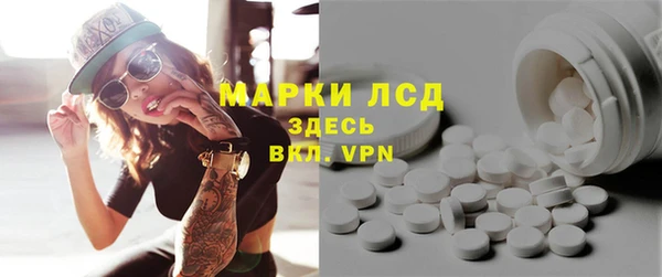 spice Инта