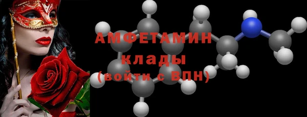 spice Инта