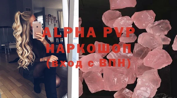 spice Инта