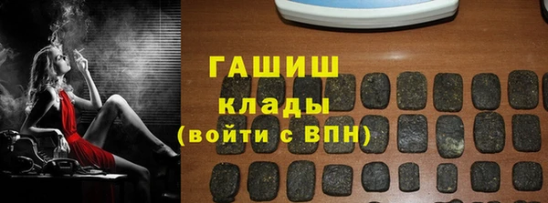 spice Инта