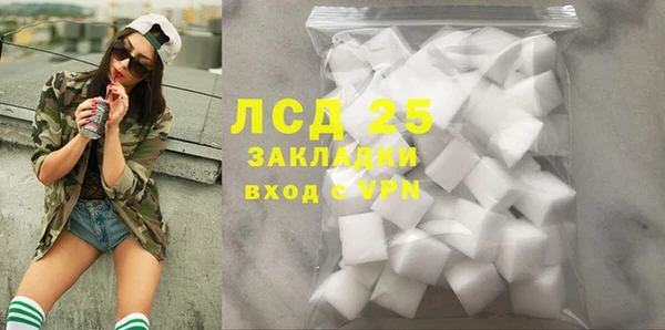 spice Инта
