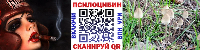 Купить закладки  Высоцк  Галлюциногенные грибы мицелий 